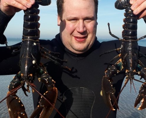 Hummer fanget af Klaus Mulvad ved Limfjorden