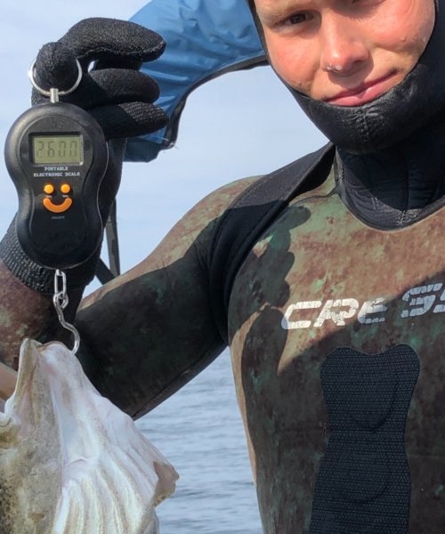 Dejligt dyk – Torsk fanget af M0311 ved Øresund om dagen