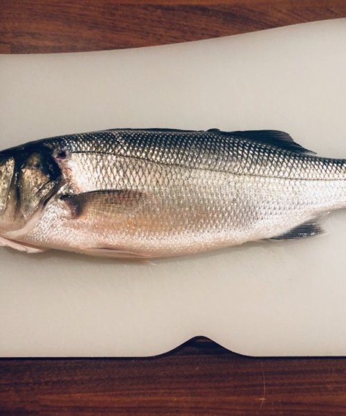 Havbars fanget af Kim Nielsen ved Øst for Gilleleje