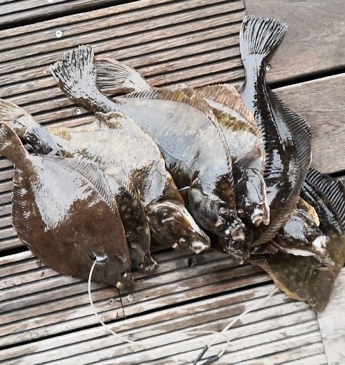 Brandmænd Gråvejr – Skrubbe fanget af Kim Monberg ved Nyby Havn