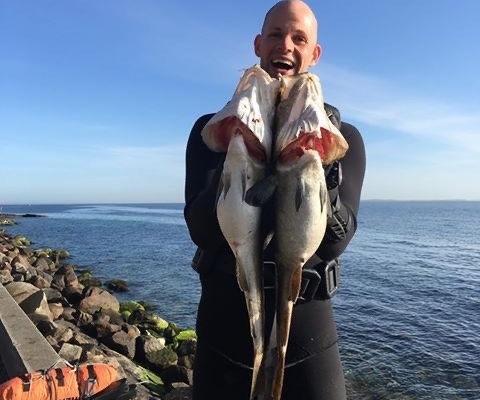 Solopgang – Torsk fanget af Asger ved Øresund