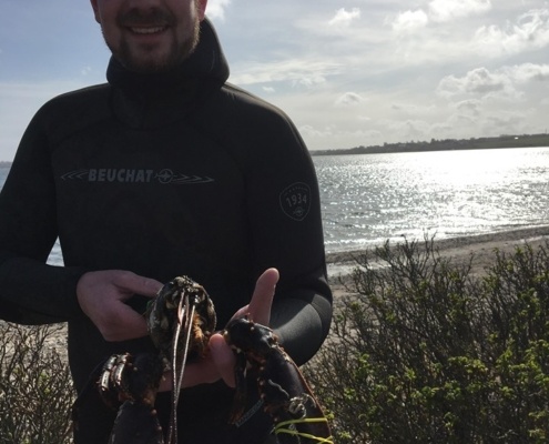 God – Hummer fanget af simon-ravn ved Limfjorden