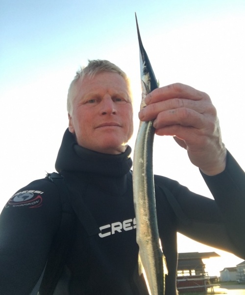 Pletskud – Hornfisk fanget af knud-munk ved Langeland
