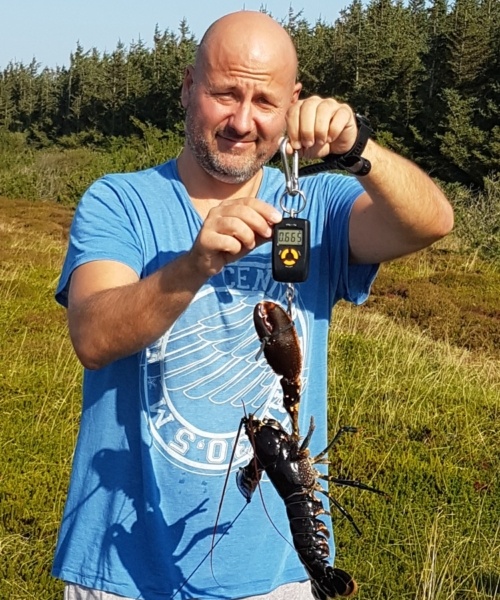 Med Frank – Hummer fanget af Tom ivø ved Limfjord