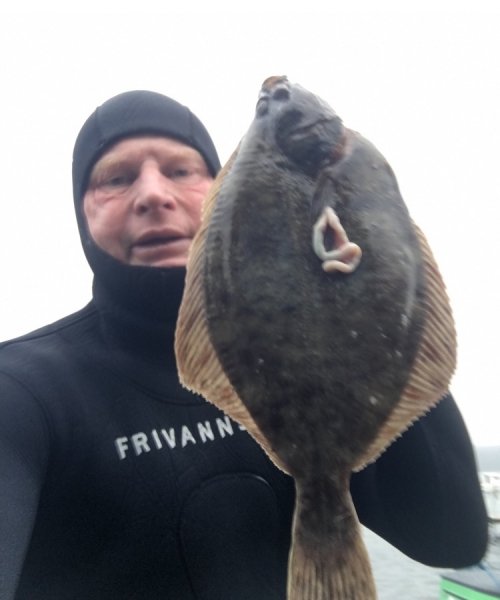 Vinterfiskeriet igang – Skrubbe fanget af knud-munk ved Sydfyn