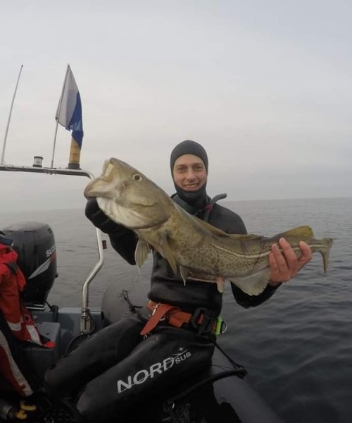 Anden torsk – Torsk fanget af Øster ved Køge bugt