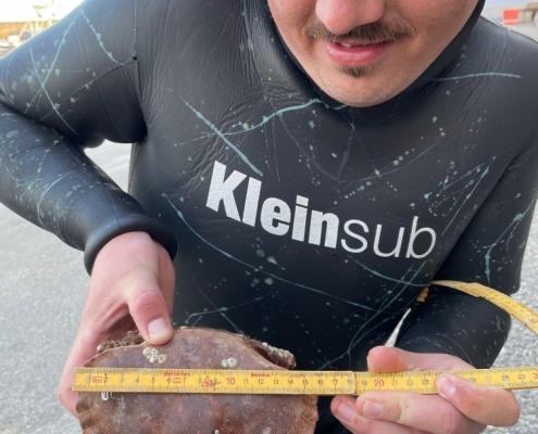 Bifangst – Taskekrabbe fanget af MichaelEngel ved Vestkysten