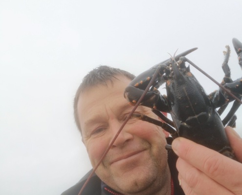 Julehummer – Hummer fanget af Morten0-turHavbasserne ved Limfjorden