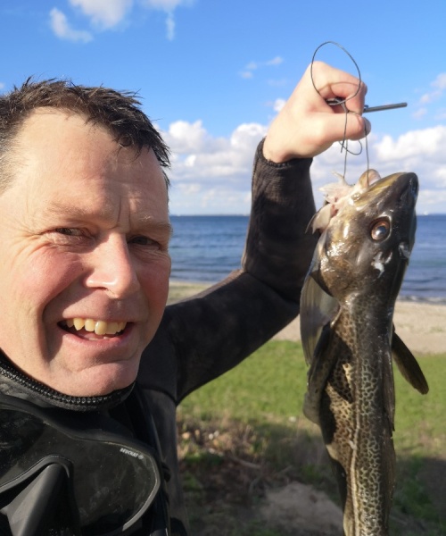 Eftermiddags torsk – Torsk fanget af Morten0-turHavbasserne ved Øresund