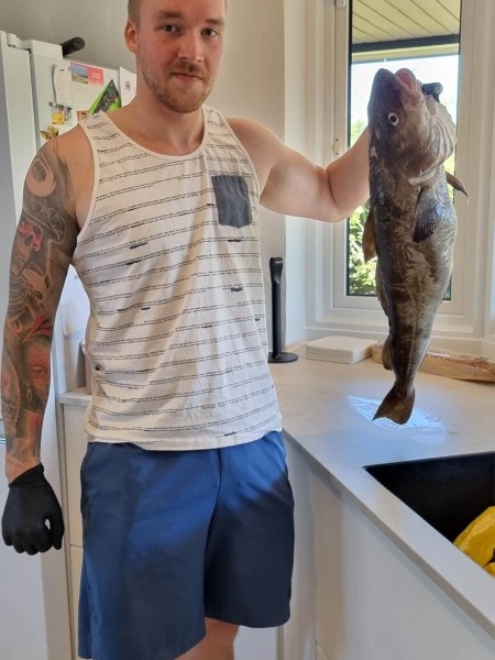 Torsk fanget af Meklasmaj ved Westerhaw