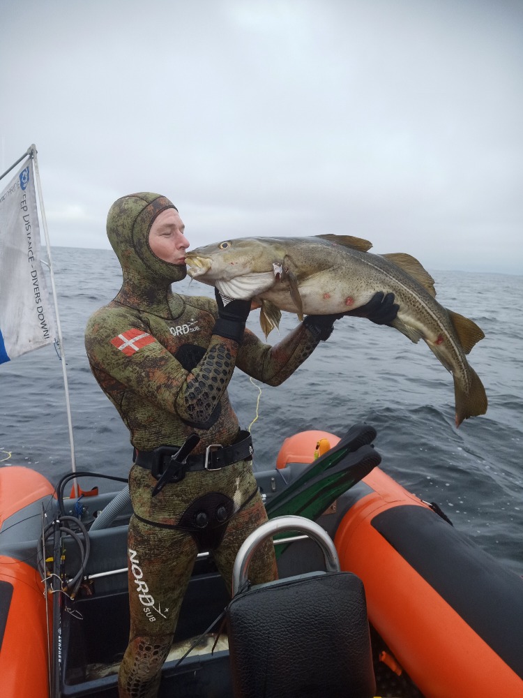 St rste Fisk Torsk Fanget Af Mott Ved Langeland Uvj geren dk By 
