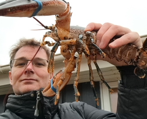 Godt spot – Hummer fanget af Mott ved Limfjorden