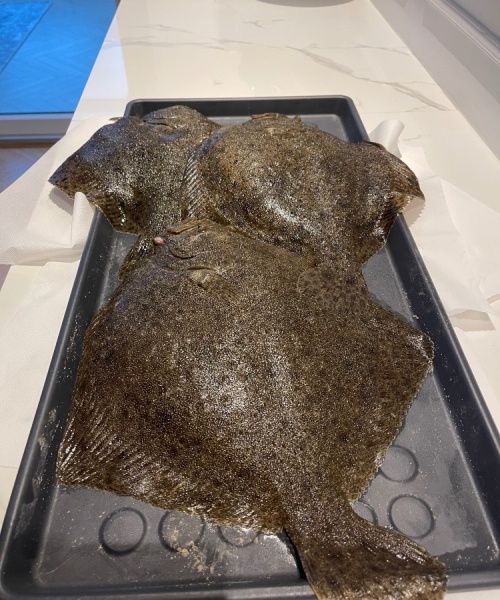 Bingo banko – Pighvar fanget af Joakim ved Sjælland