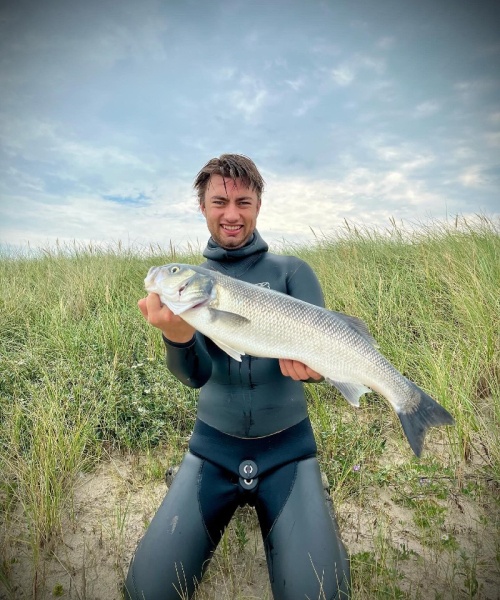 Vestlig havbars – Havbars fanget af Simon Løv Thomsen ved Vesterhavet