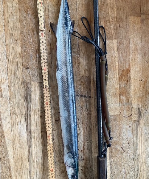 Hornfisk fanget af søren ebdrup ved Sj odde