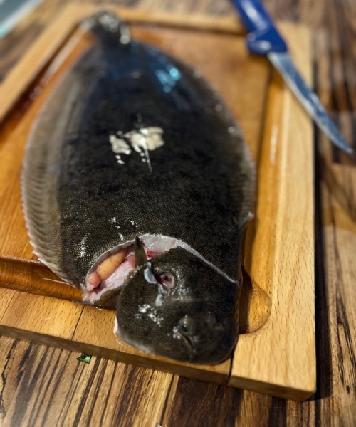 Nat – Tunge fanget af Nicolaikjær ved Fyn