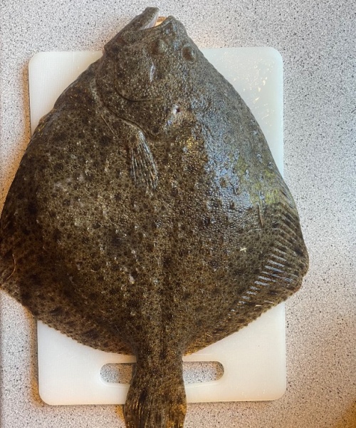 Eftermiddag – Pighvar fanget af Jacob Jensen