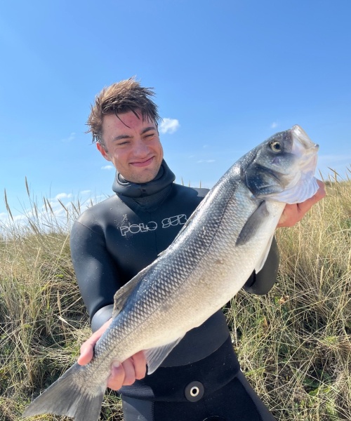 Wæsterhaws-sølv – Havbars fanget af Simon Løv Thomsen