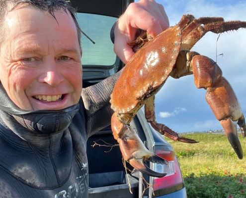 Limfjords krabbe – Taskekrabbe fanget af Morten0-turHavbasserne