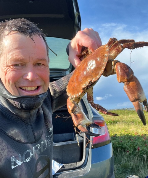 Limfjords krabbe – Taskekrabbe fanget af Morten0-turHavbasserne