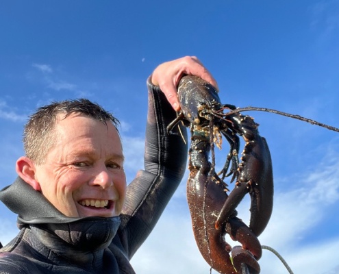 Gammelmandshummer – Hummer fanget af Morten0-turHavbasserne ved Limfjorden