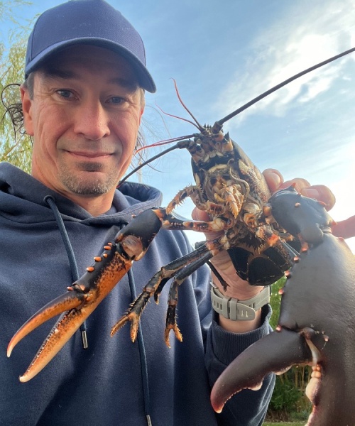 Blæst bølger – Hummer fanget af Nicolaikjær ved Kattegat