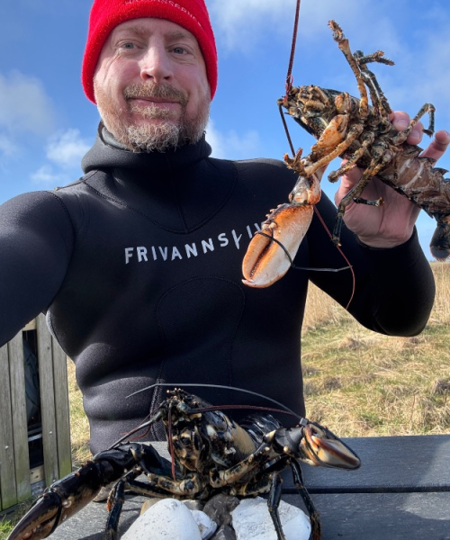 Blæsende lowbudgetcamptour – Hummer fanget af JesperFjordager ved Limfjorden
