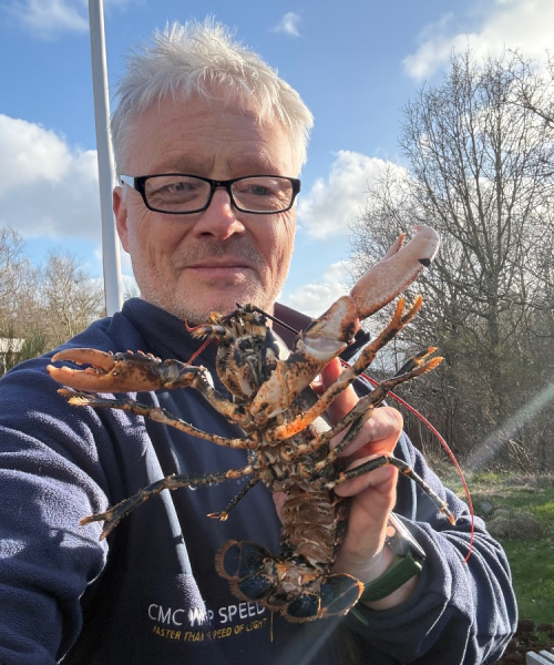 Langt imellem – Hummer fanget af frankgellert ved Limfjorden