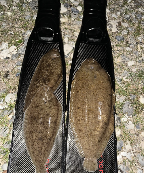 Dårligsigt Nat – Tunge fanget af JonasDuem ved Djursland