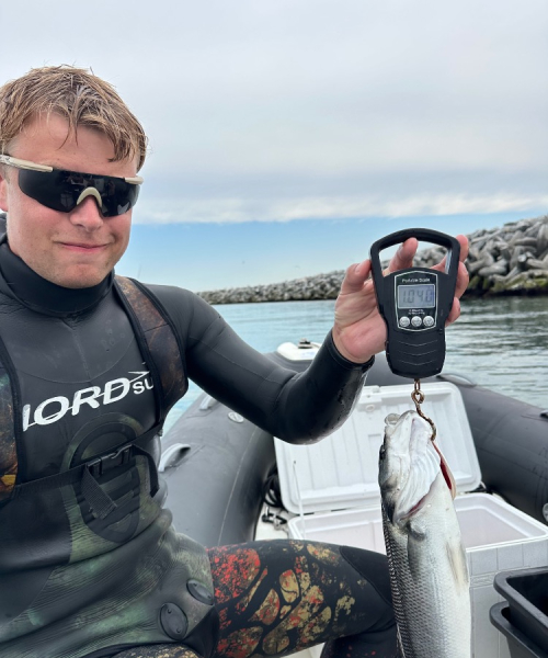 Endelig bars – Havbars fanget af JonasDuem ved Hirtshals